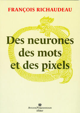Neurons, words and pixels