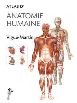 E-book : Atlas of Human Anatomy
