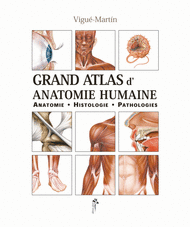 Grand atlas d'anatomie humaine