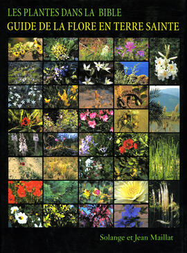 Plants in the Bible Plants in the Bible