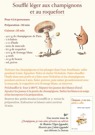 https://www.adverbum.fr/editions-le-sureau/beatrice-vigot-lagandre/champignons-je-vous-aime_11q6lmwm3qaghpi43w0lsskb2t9.html